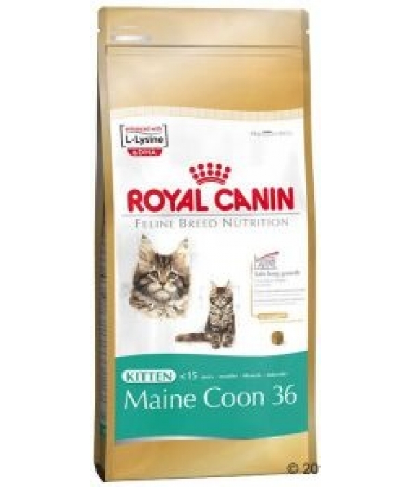 Для котят Мейн–кун: 4–15 мес. (Kitten Мaine Coon) 543020/ 543120