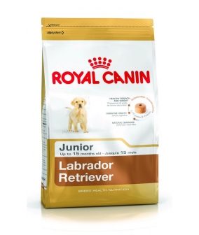 Для щенков Лабрадора: до 15 мес. (Labrador Retriever junior 33) 349120