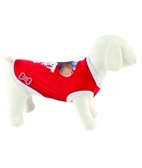 Футболка "Спорт" (красный) на длину 25 см (T – SHIRT SPORT DOG ROSS) ABF197/25 – R