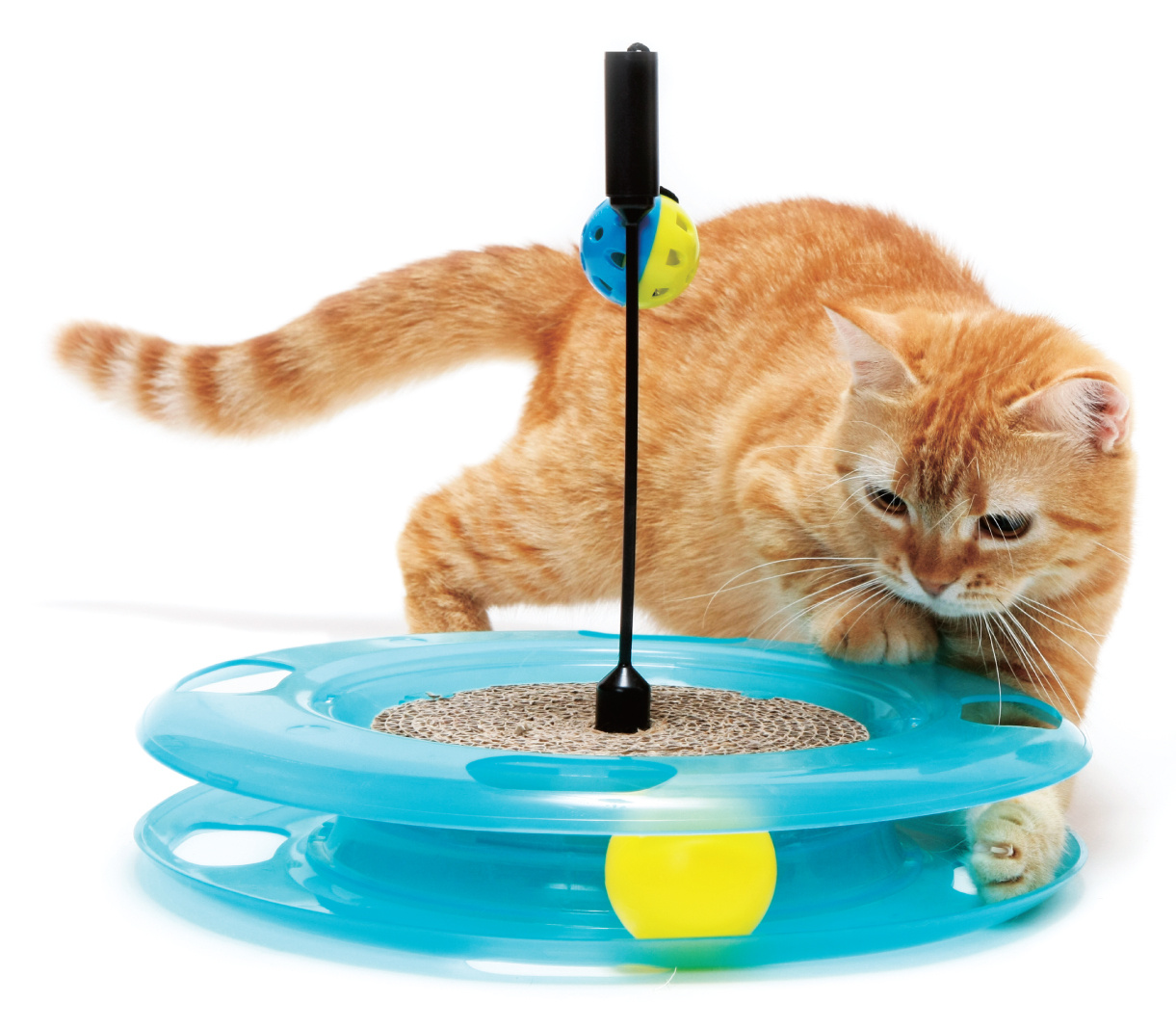 Весы для кошек купить. Игрушка для кошек: поле чудес "SWAT track & Scratcher": 31*31*6см (pl0369). Игрушка для кошки. Игрушка «котенок». Интерактивная игрушка кошка.